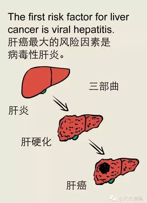【健康】小心肝病了,整个人都不好了!(附漫画