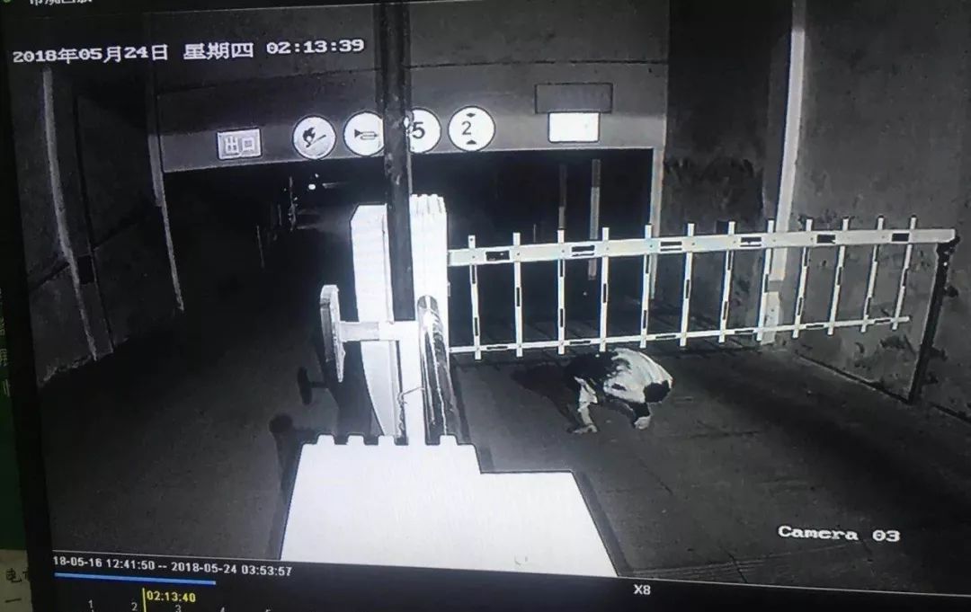 �賿 ��������Ů����ҽԺ��������� ����ͷ����